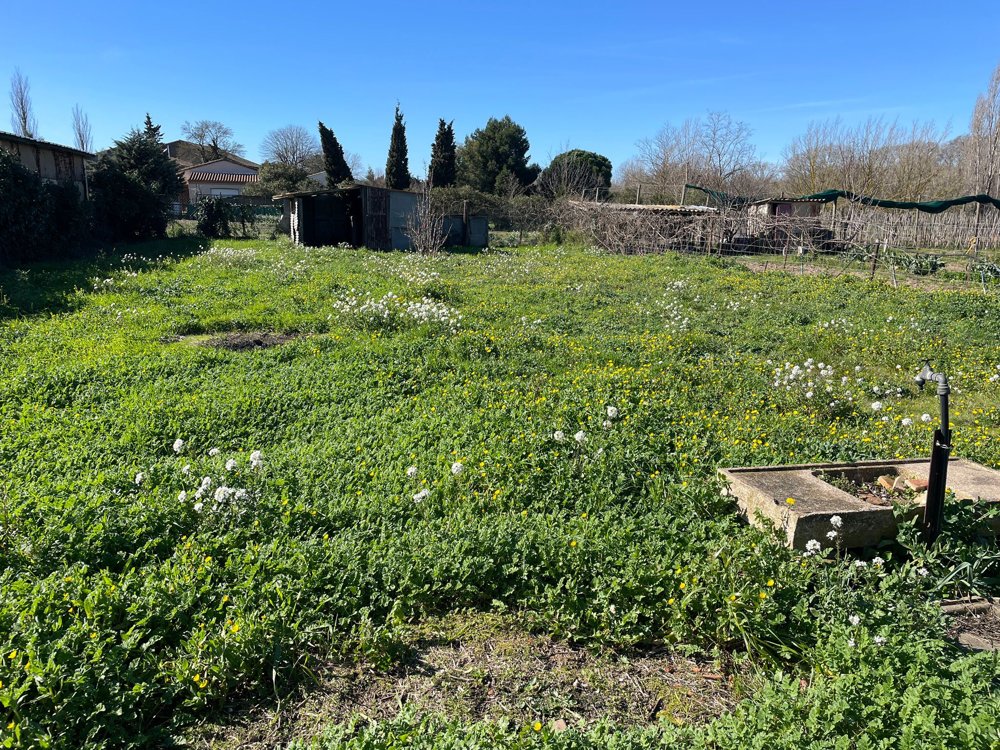 Terrain de loisirs à Barbaira