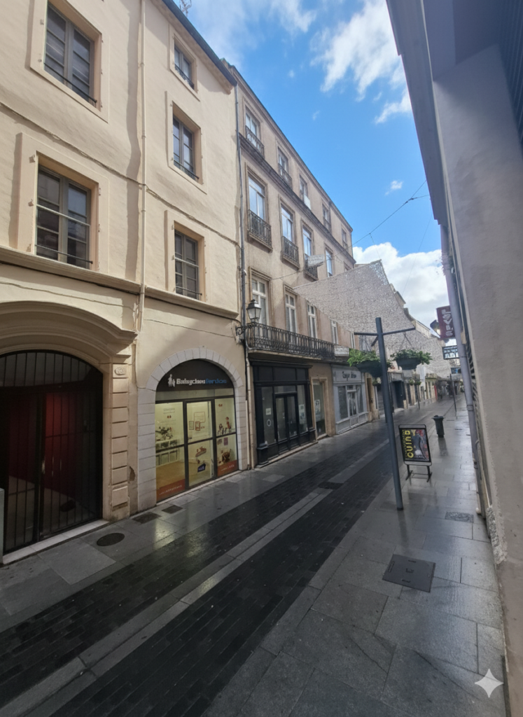 À VENDRE   APPARTEMENT AUX BEAUX VOLUMES   IMMEUBLE BOURGEOI