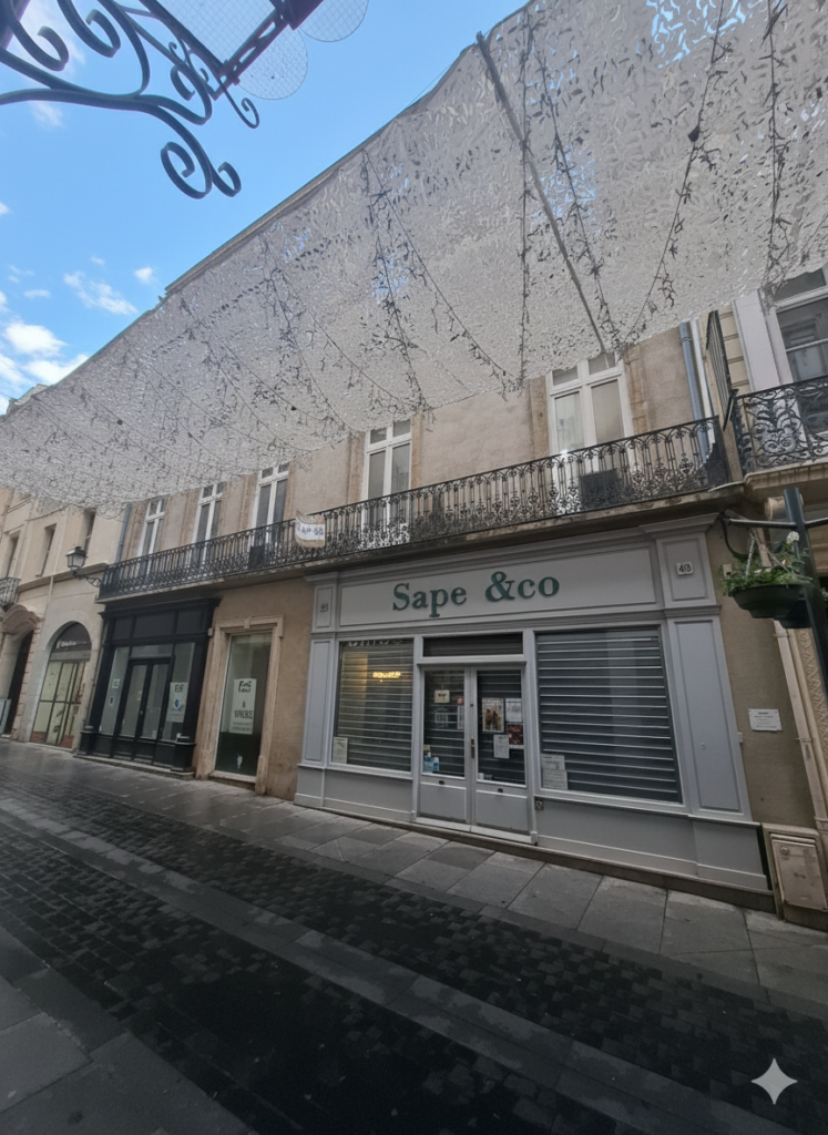 À VENDRE   APPARTEMENT AUX BEAUX VOLUMES   IMMEUBLE BOURGEOI