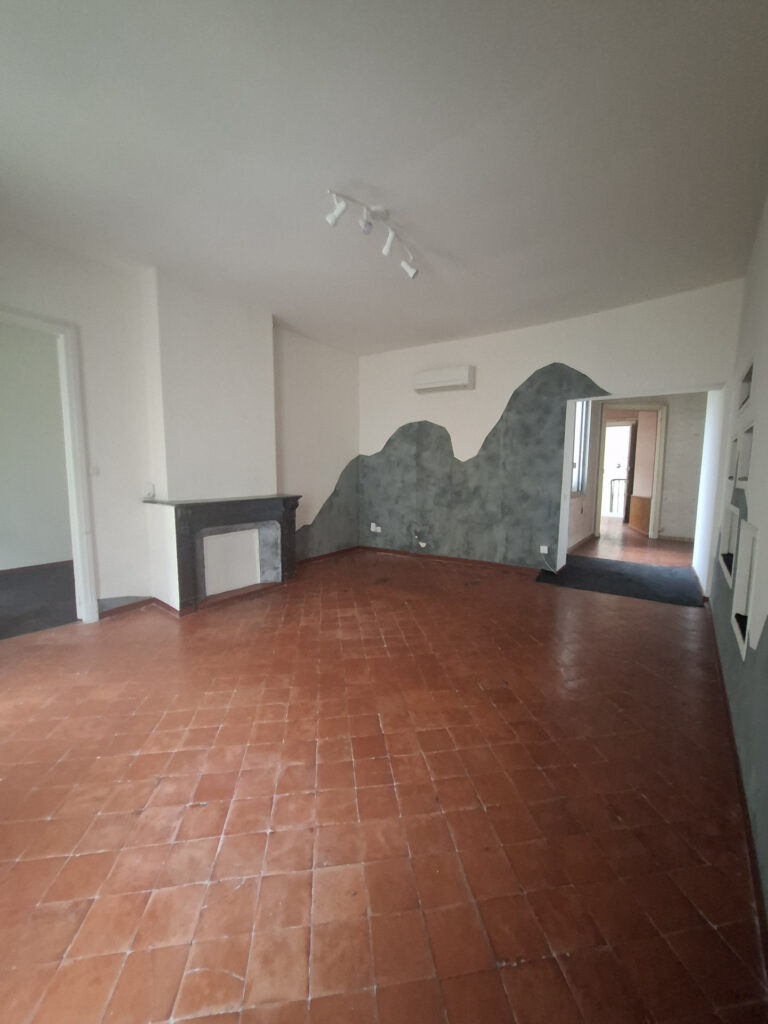 À VENDRE   APPARTEMENT AUX BEAUX VOLUMES   IMMEUBLE BOURGEOI
