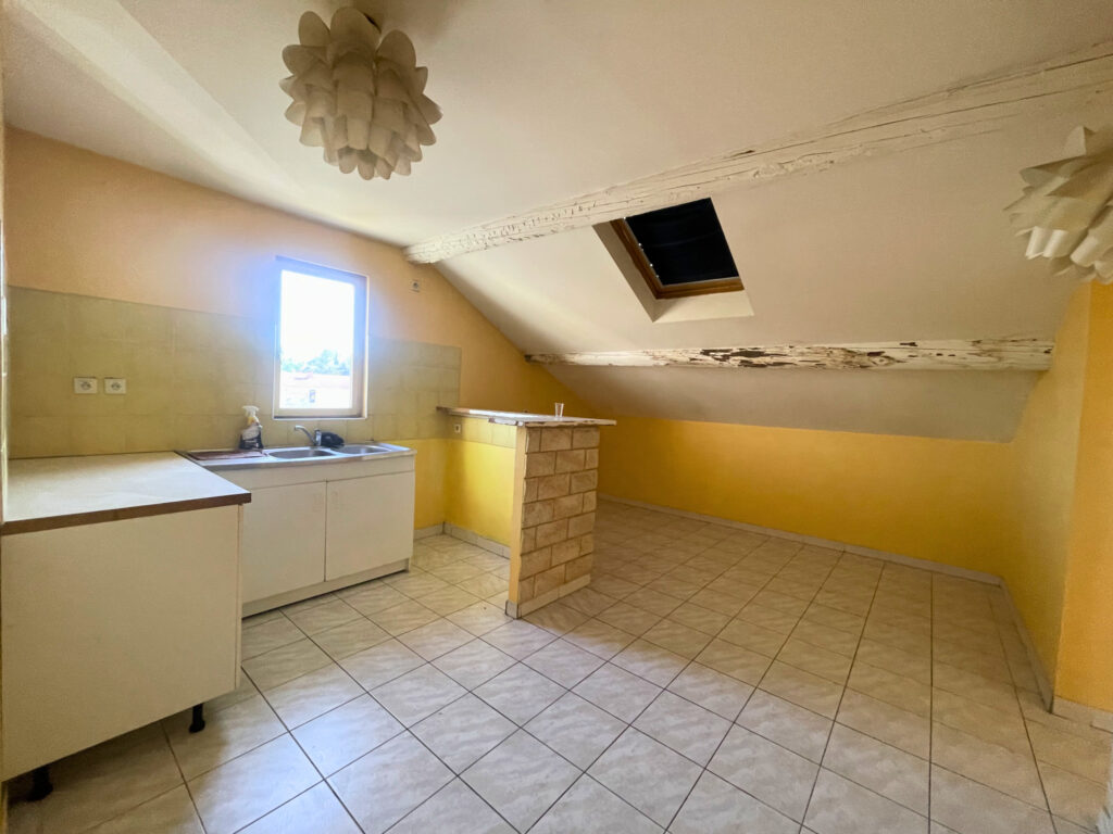 À VENDRE   APPARTEMENT P3 BIS – 52,98M2 CARREZ – 81,42 M2 SU