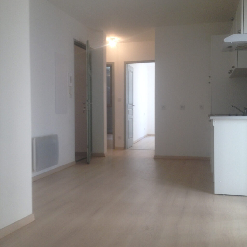 À LOUER   APPARTEMENT T3 SPACIEUX EN CENTRE-VILLE HISTORIQUE